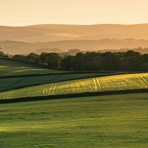 Country fields during sunset.